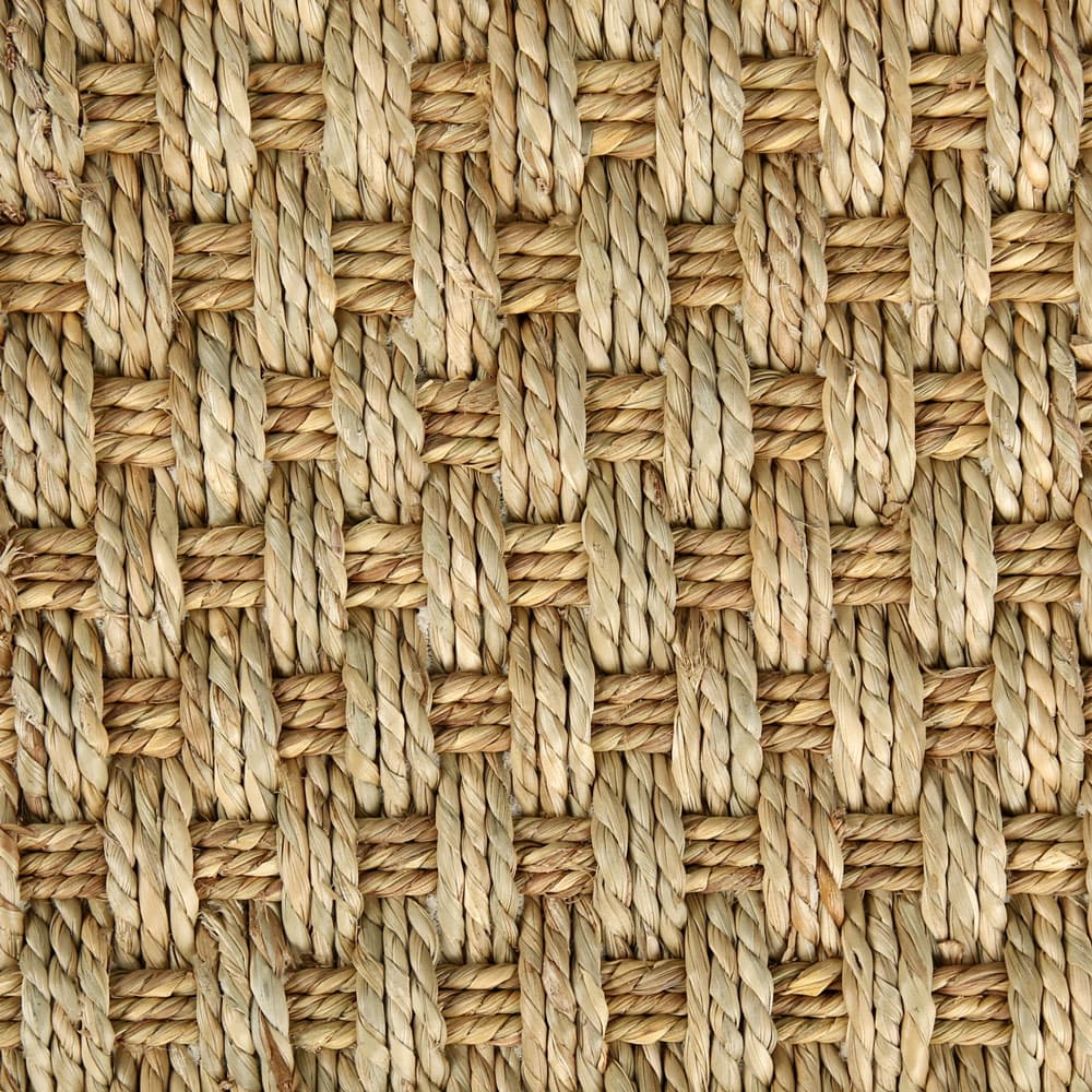 Seagrass